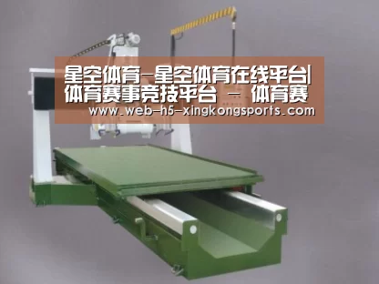 产品名称十