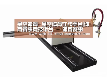 案例展示一