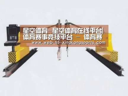 产品名称十九