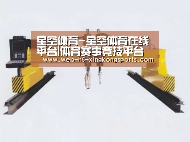产品名称十七