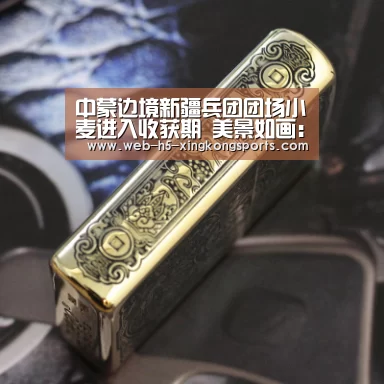 中蒙边境新疆兵团团场小麦进入收获期 美景