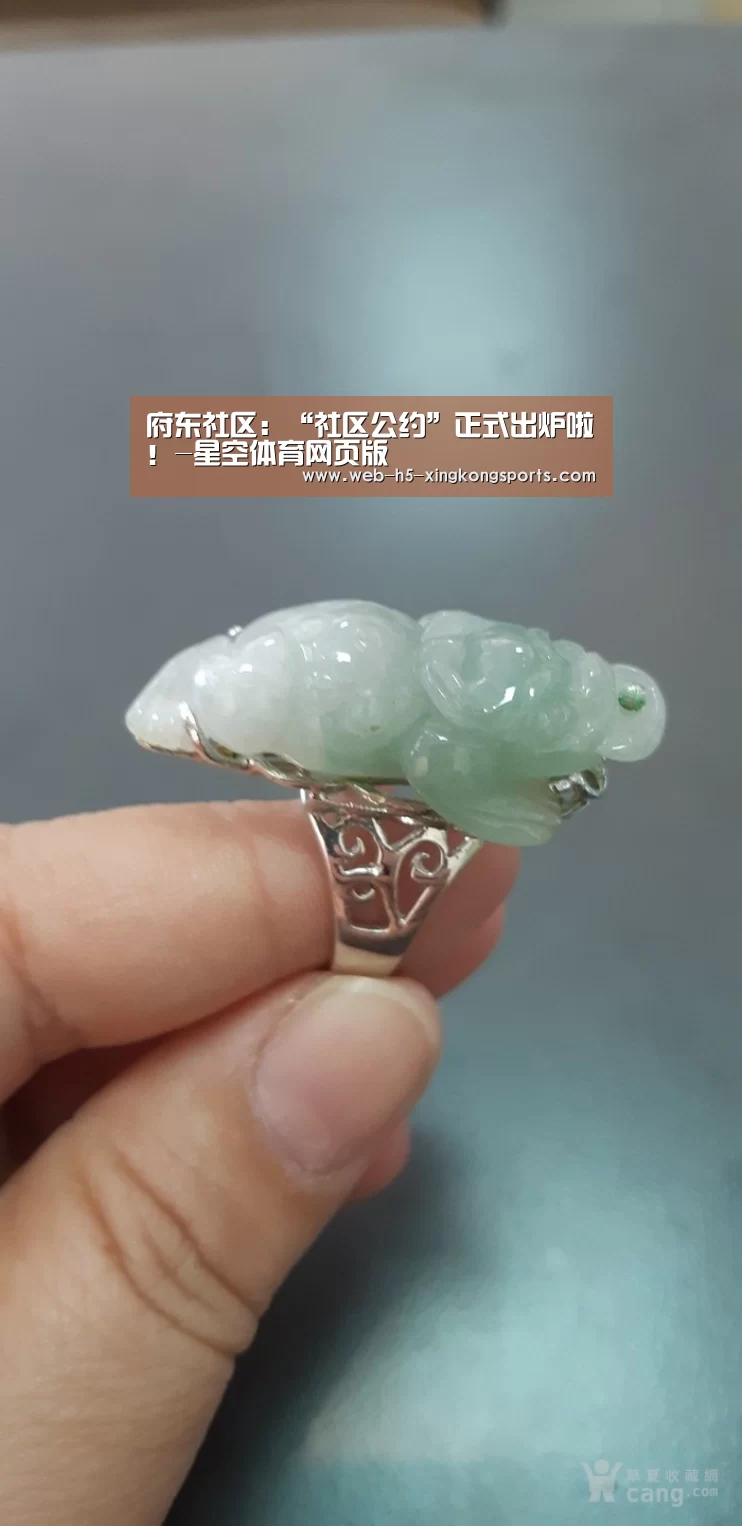 星空体育app