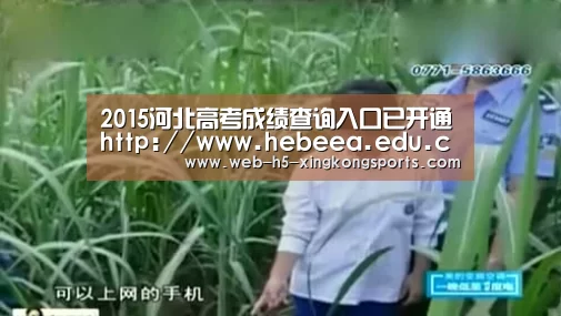 星空体育app下载