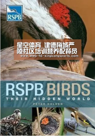 星空体育app下载